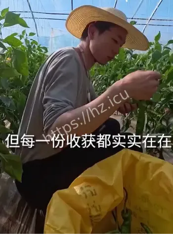 短剧霸总演员失业